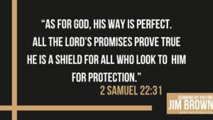 Scripture from 2 Samuel 22:31 reminding us God’s ways are perfect.